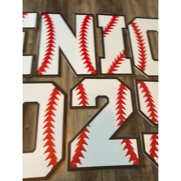 Senior 2025 Lawn Letters Outdoor Decor Graduation Party Signs 14x11 - Picture 6 of 10